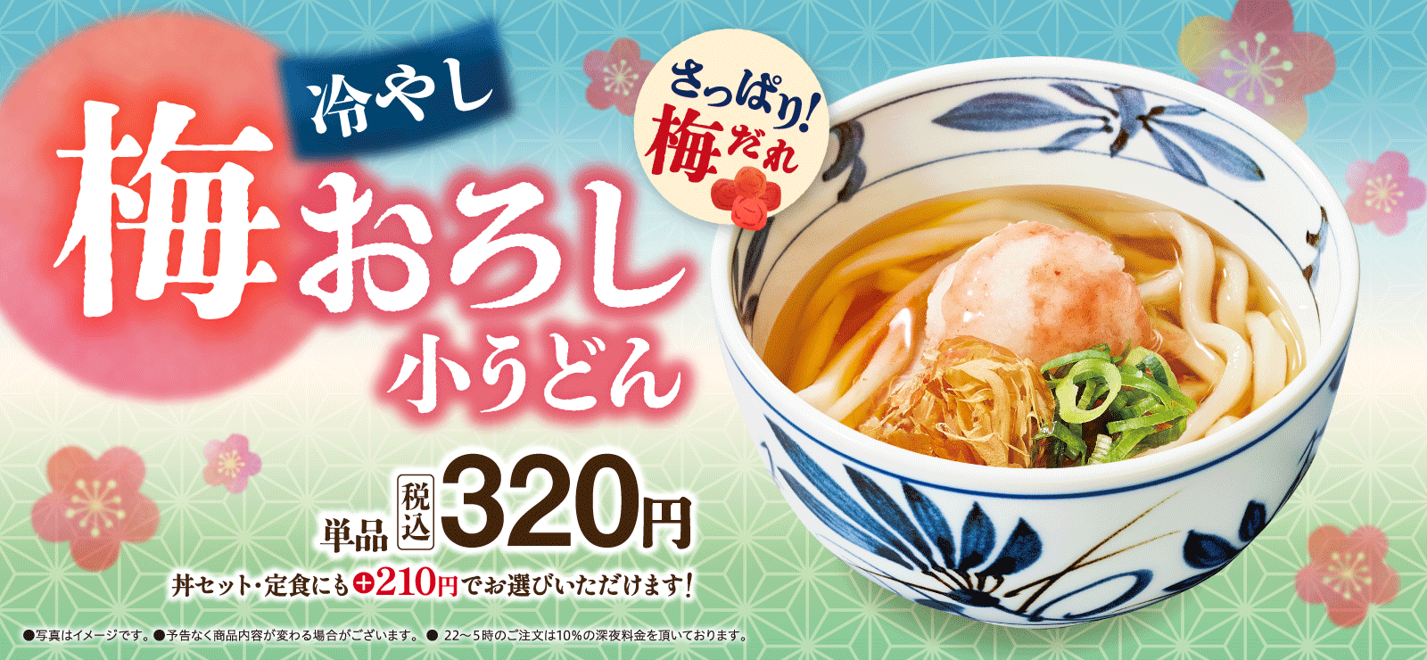 梅おろし小うどん