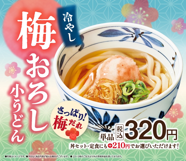 梅おろし小うどん